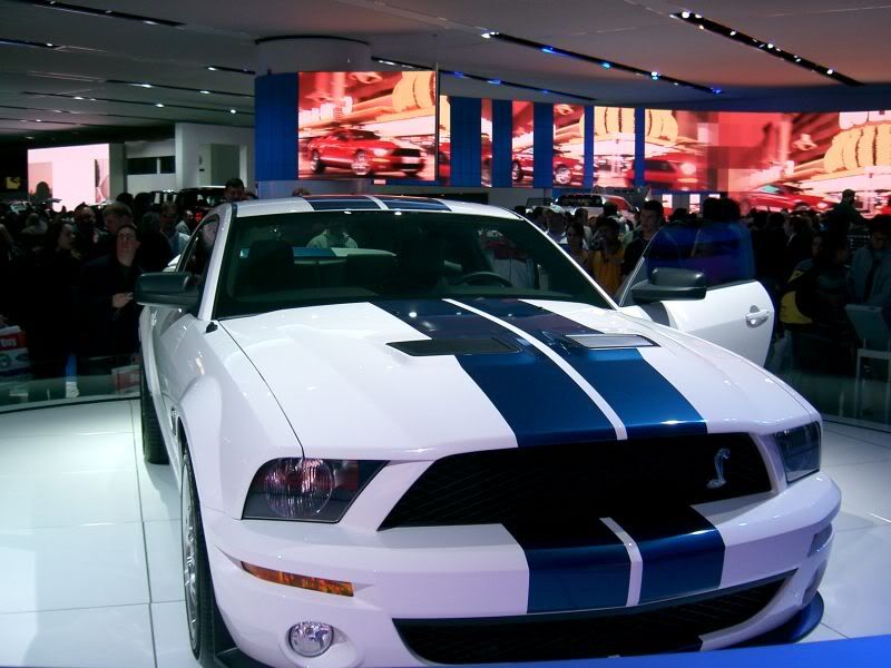 shelby_gt500_1.jpg