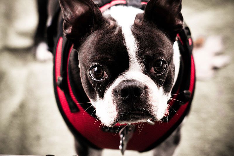 IMAGE: http://img.photobucket.com/albums/v325/CrystalRose76/Mirror%20Lake%20Oct%202010/IMG_2288.jpg