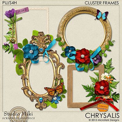 Chrysalis Clustered Frames