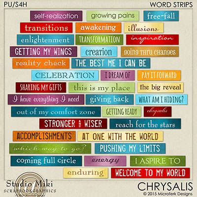 Chrysalis Word Strips