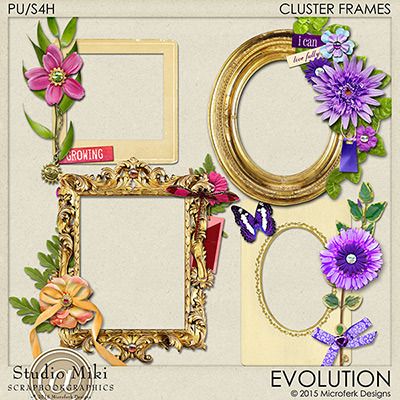 Evolution Clustered Frames