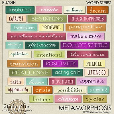 Metamorphosis Word Strips