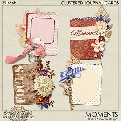 Moments Clustered Journal Cards