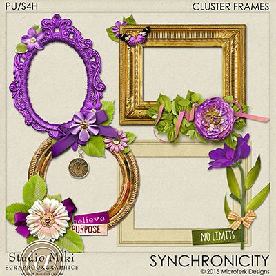 Synchronicity Clustered Frames