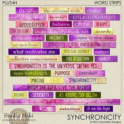 Synchronicity Word Strips