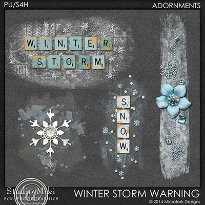 Winter Storm Warning Adornments