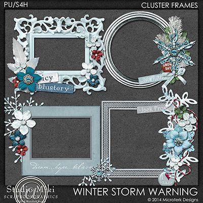 Winter Storm Warning Clustered Frames