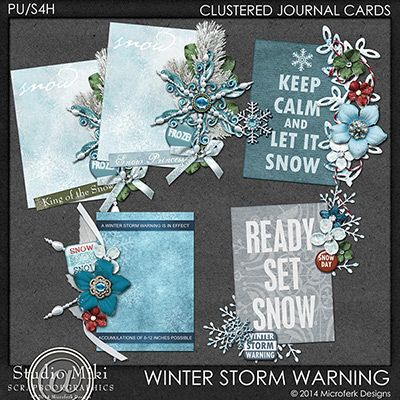 Winter Storm Warning Clustered Journal Cards