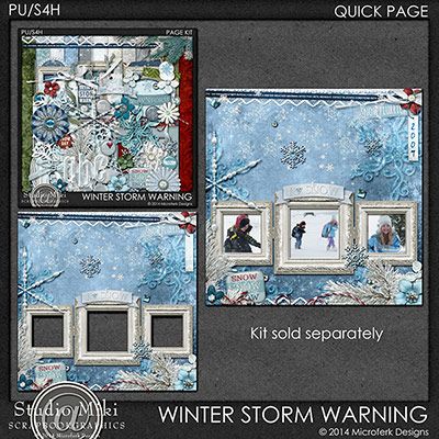Winter Storm Warning Quick Page