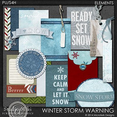 Winter Storm Warning Elements