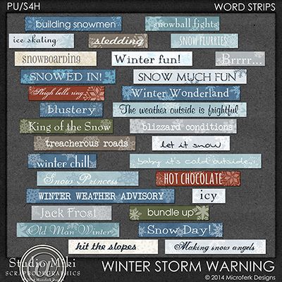 Winter Storm Warning Word Strips