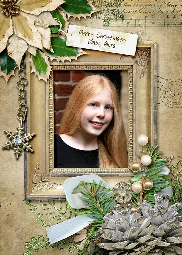 Christmas Mistletoe Photocard