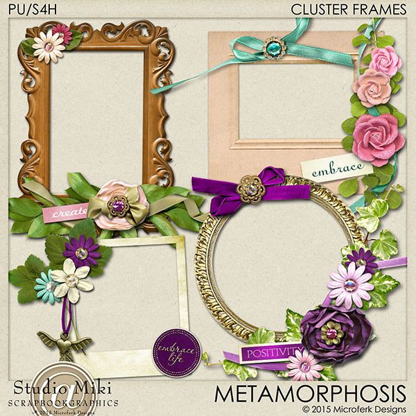 Metamorphosis Clustered Frames