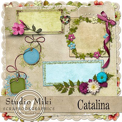 Catalina Clustered Journal Cards