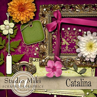 Catalina Elements