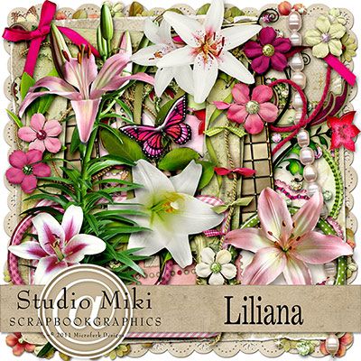 Liliana Elements