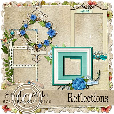 Reflections Clustered Frames