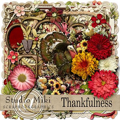 Thankfulness Elements