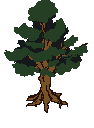 дерево с задними листьями