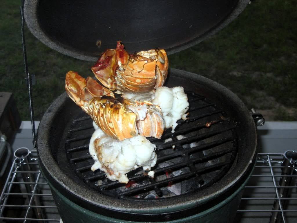 Lobster4-8-6011.jpg