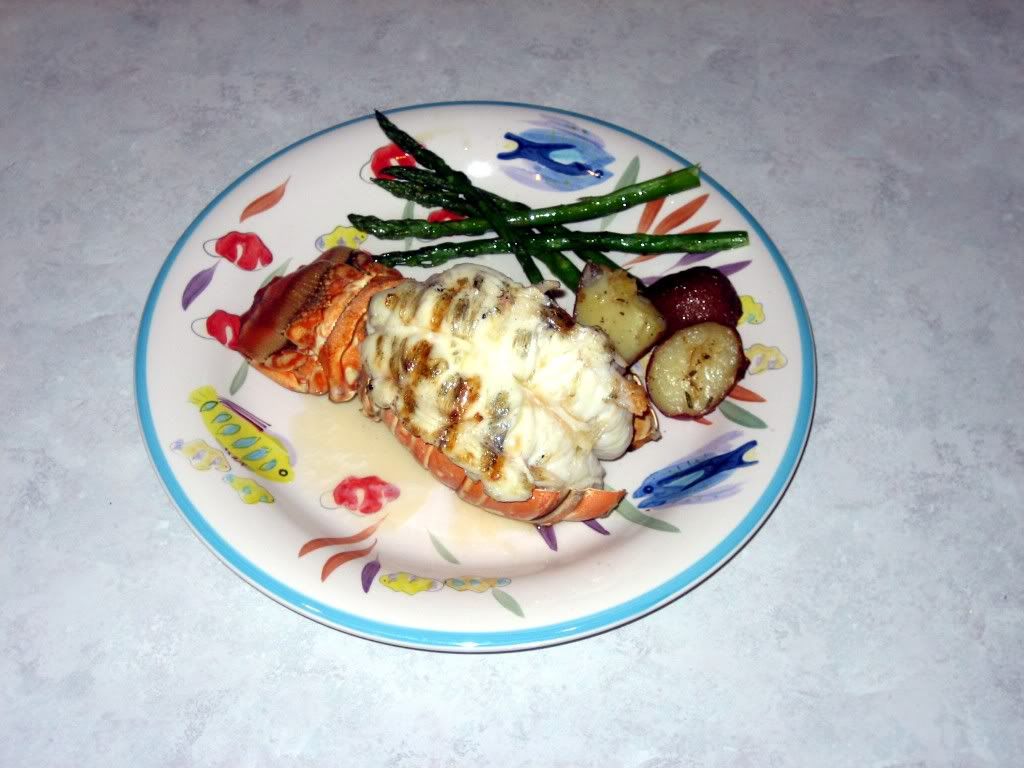 Lobster4-8-6013.jpg