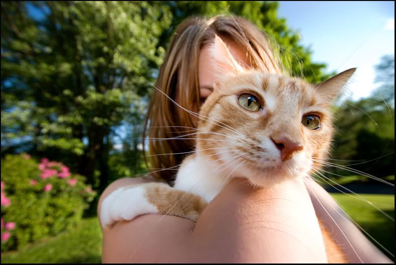 IMAGE: http://img.photobucket.com/albums/v326/devin22cbr/10-22/GT2.jpg