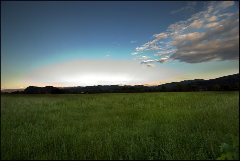 IMAGE: http://img.photobucket.com/albums/v326/devin22cbr/10-22/mounts2.jpg