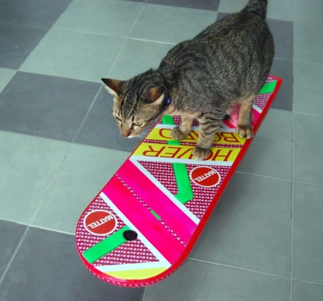 hoverboardcat.jpg