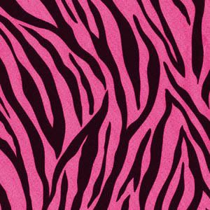 Celebrity Pink on Pink Zebra Print Graphics  Pictures    Images For Myspace Layouts