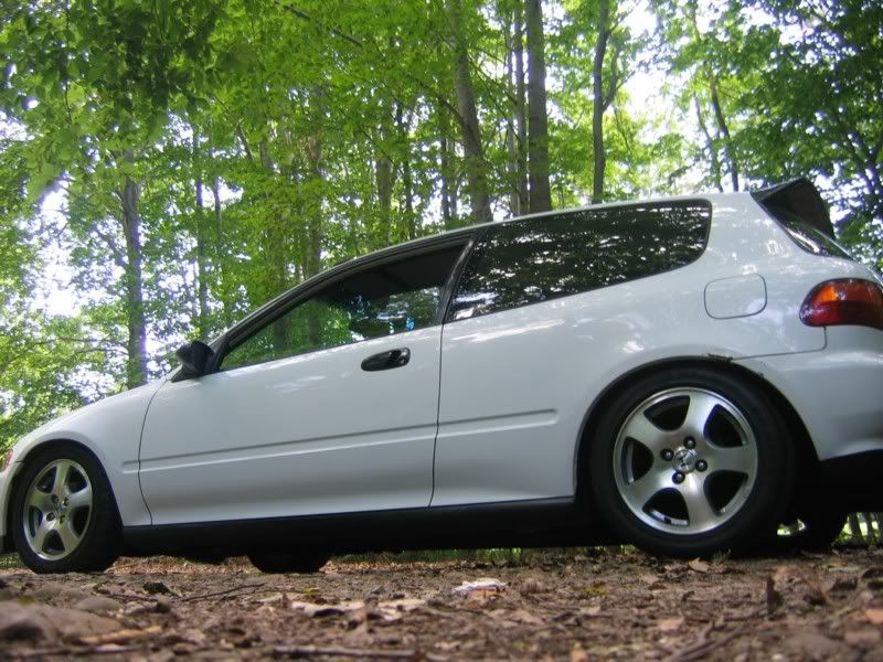 http://img.photobucket.com/albums/v326/zeroassault/whitehatch1.jpg