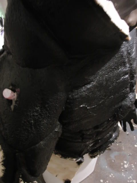 CIMG9184.jpg