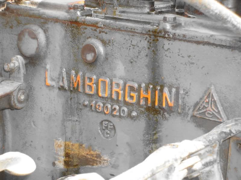 tintiiedlamborghiniblock.jpg