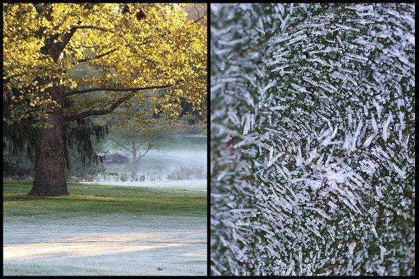 Frost10132012b.jpg