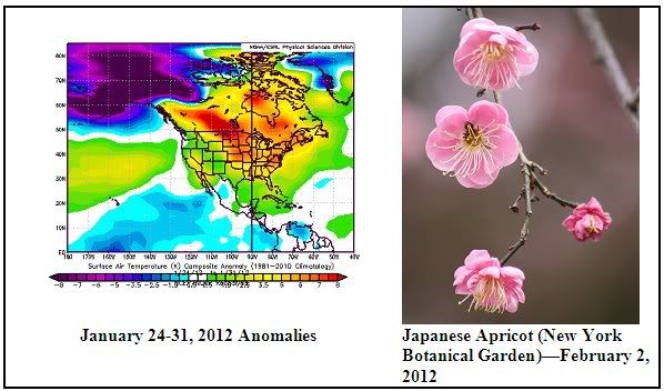 Jan24-312012Anomalies.jpg