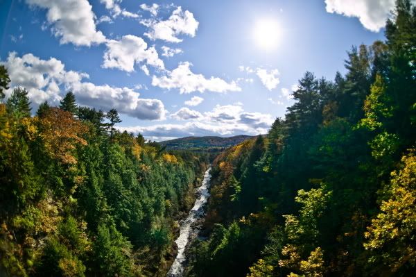 IMAGE: http://img.photobucket.com/albums/v328/AudibleSilence/New%20Hampster/600/F50S3767.jpg