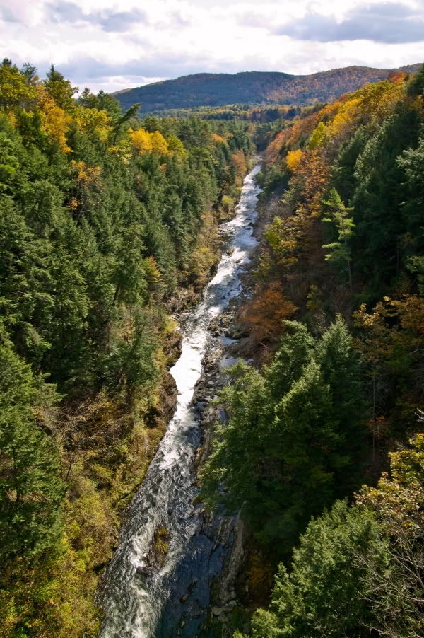 IMAGE: http://img.photobucket.com/albums/v328/AudibleSilence/New%20Hampster/600/F50S3810.jpg