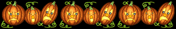 This image has an empty alt attribute; its file name is pumpkin-row-divider.gif