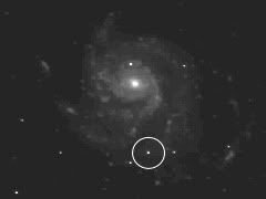 M101260811b.jpg
