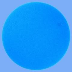 SUN180310b.jpg