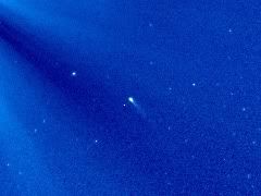 Comet96PMachholzb.jpg
