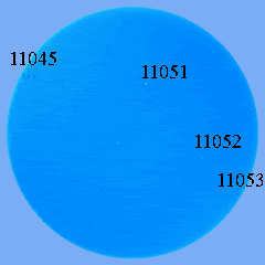 sun020310b.gif