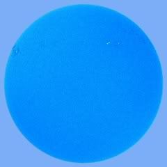 sun140210b.jpg