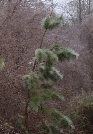 Image hosted by Photobucket.com