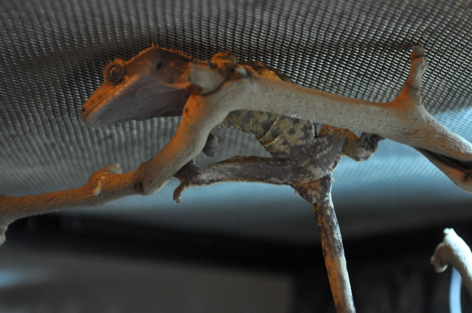 DSC_0002.jpg