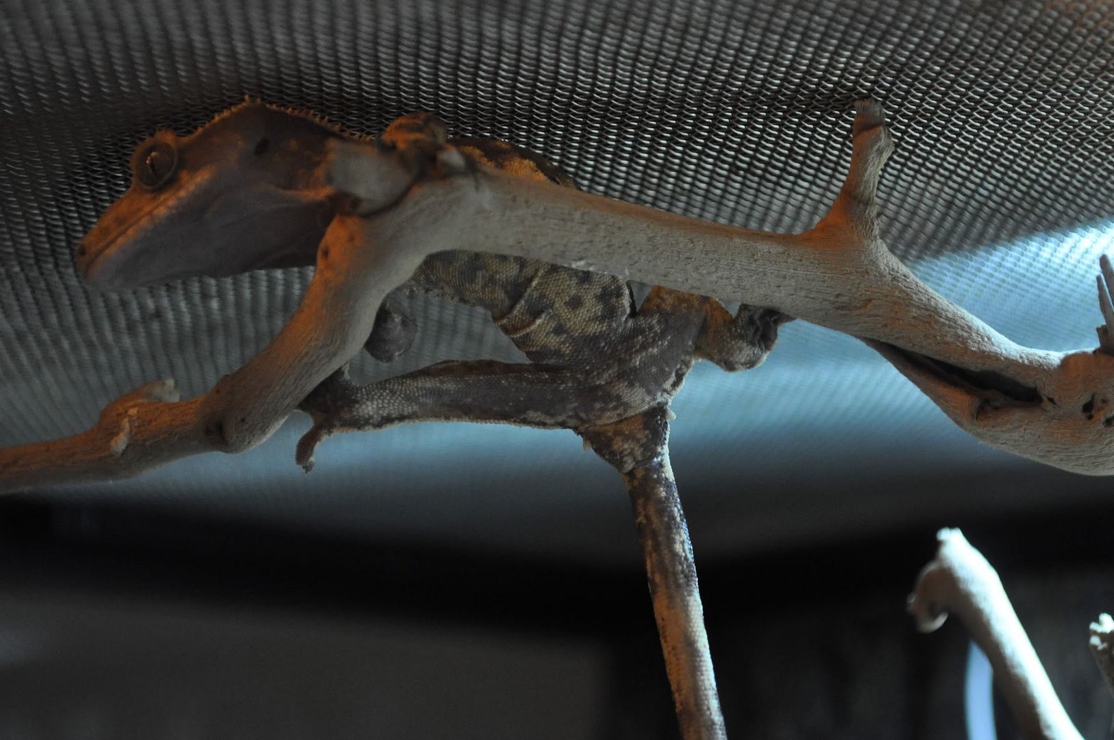 DSC_0003.jpg