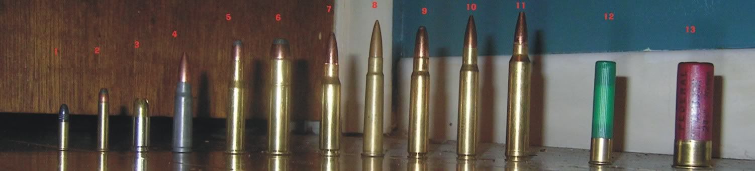 bullet caliber size comparison