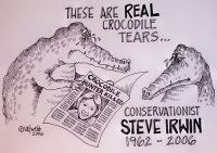 Steve Irwin Tribute by Val Webb