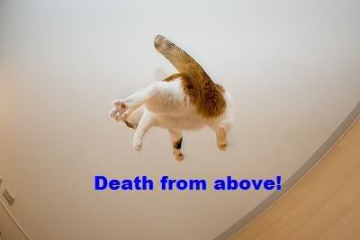 Posted Image