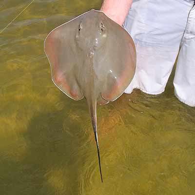 Weedon Fishing Aug 10,2005