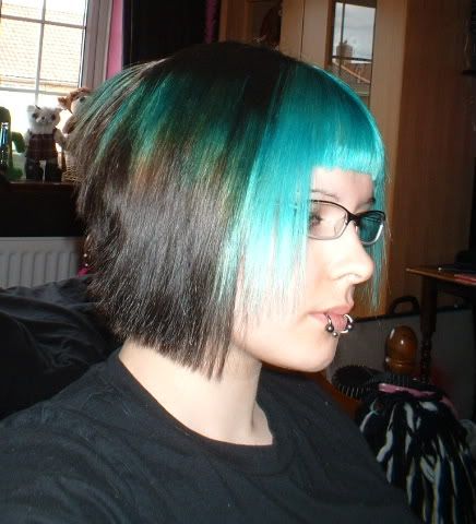 Stargazer Hair Dye. dyes I used were Stargazer